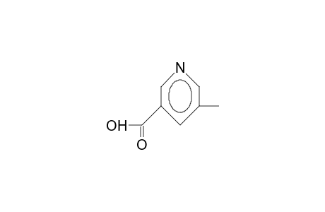 5-Methyl-nikotinsaeure