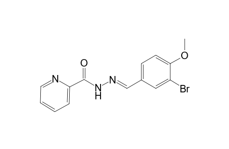 N'-[(E)-(3-bromo-4-methoxyphenyl)methylidene]-2-pyridinecarbohydrazide