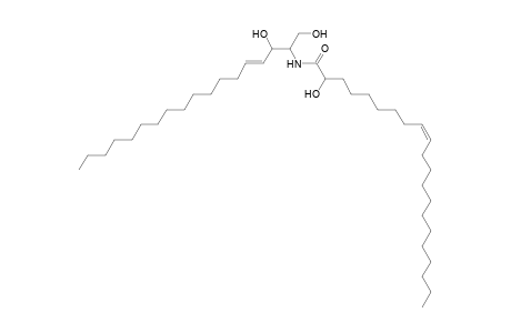 Cer 18:1;2O/21:1;(2OH)