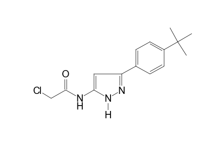 N-[3-(p-tert-butylphenyl)pyrazol-5-yl]-2-chloroacetamide