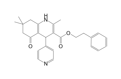 2-phenylethyl 2,7,7-trimethyl-5-oxo-4-(4-pyridinyl)-1,4,5,6,7,8-hexahydro-3-quinolinecarboxylate