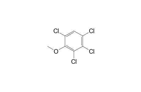 2,3,4,6-Tetrachloroanisole