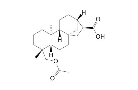 16alpha-Hydro-19-acetoxy-ent-kauran-17-oic acid