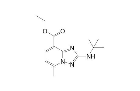 2-tert-BUTYLAMINO-5-METYHL-[1,2,4]-TRIAZOLO-[1,5-A]-PYRIDINE-8-CARBOXYLATE