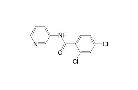 2,4-dichloro-N-3-pyridylbenzamide
