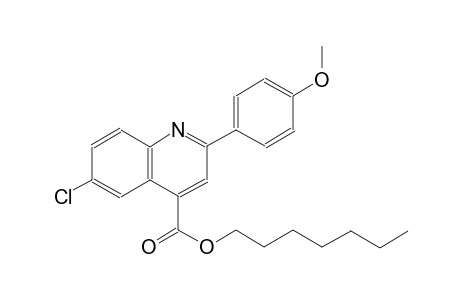 heptyl 6-chloro-2-(4-methoxyphenyl)-4-quinolinecarboxylate
