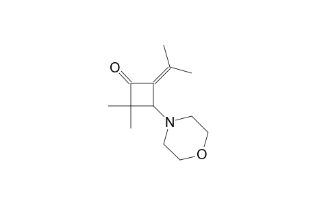 2,2-Dimethyl-3-(4-morpholinyl)-4-propan-2-ylidene-1-cyclobutanone