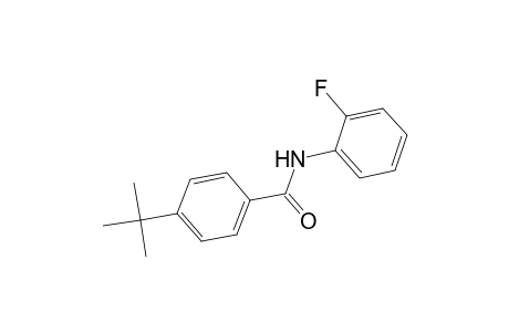 4-tert-butyl-N-(2-fluorophenyl)benzamide