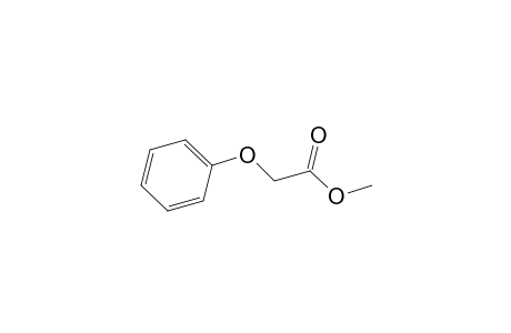 Phenoxyacetic acid methylester