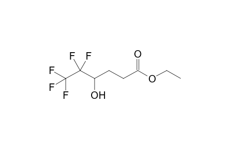 5,5,6,6,6-pentafluoro-4-hydroxy-hexanoic acid ethyl ester