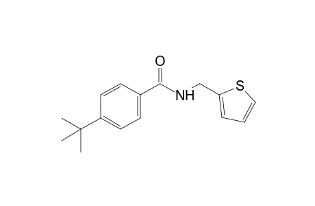 p-tert-butyl-N-(2-thenyl)benzamide