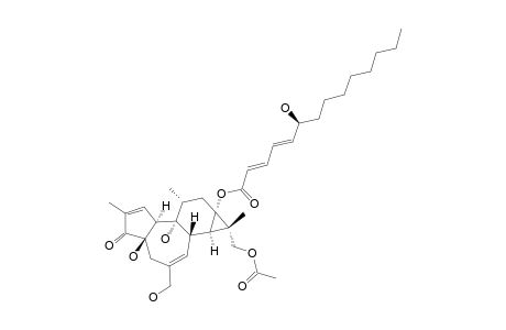 SAPINSIGNOID_B