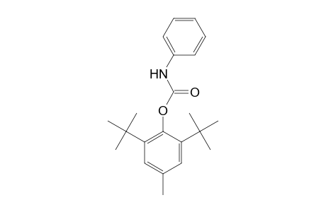 2,6-Ditert-butyl-4-methylphenyl phenylcarbamate