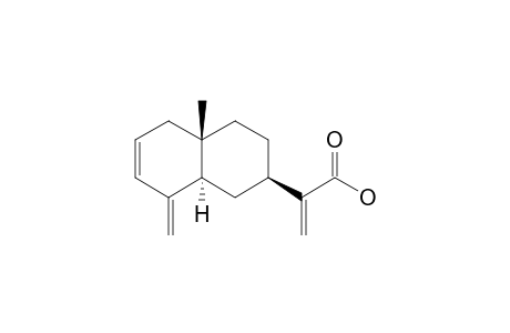Eudesma-2,4(15),11(13)-trien-12-oic Acid
