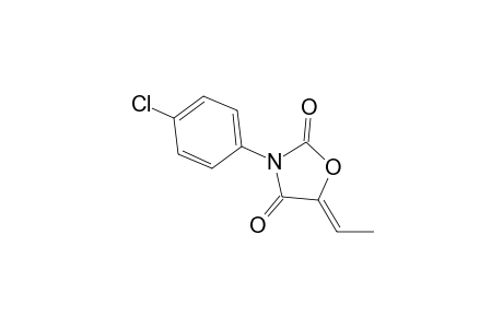 (5Z)-5-Ethylene-N-(p-Chlorophenyl)-1,3-oxazolidin-2,4-dione