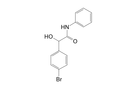 2-(4-bromophenyl)-2-hydroxy-N-phenyl-acetamide