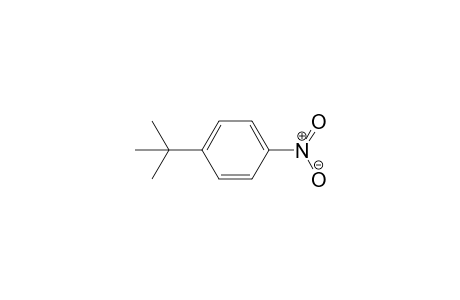 1-tert-Butyl-4-nitrobenzene