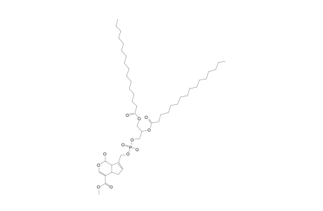 DPP-GENIPIN;1,2-DIPALMITOYL-3-SN-PHOSPHATIDYL-GENIPIN