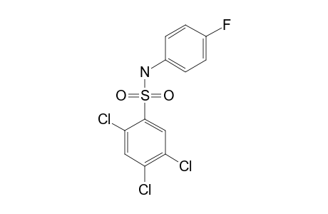 4'-fluoro-2,4,5-trichlorobenzenesulfonanilide