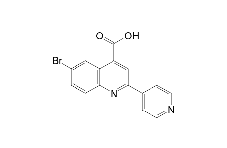 6-Bromo-2-(4-pyridyl)cinchoninic acid