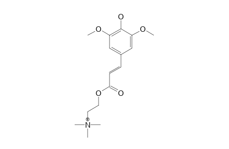 SINAPINE