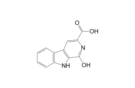 DICHOTOMINE_XV