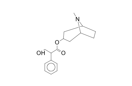 3-HYDROXY-2-PHENYLPROPIONIC ACID, 8-METHYL-8-AZABICYCLO[3.2.1]OCT-3-YL ESTER