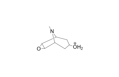 Scopolamine-M (HO-ring) MS3_1