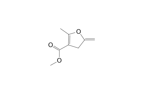 5-Methyl-2-methylene-3H-furan-4-carboxylic acid methyl ester