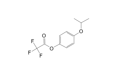 4-(Propan-2-yloxy)phenol, trifluoroacetate