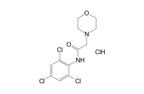 2-morpholino-2',4',6'-trichloroacetanilide, monohydrochloride
