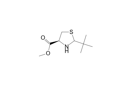 2-tert-Butyl-4-thiazolidinecarboxylic acid methyl ester