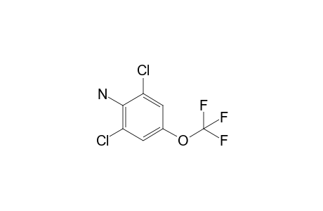 [2,6-dichloro-4-(trifluoromethoxy)phenyl]amine