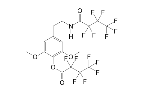 cp-A 2Hfb