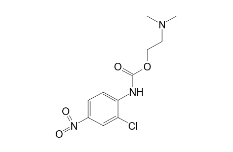 2-chloro-4-nitrocarbanilic acid, 2-(dimethylamino)ethyl ester