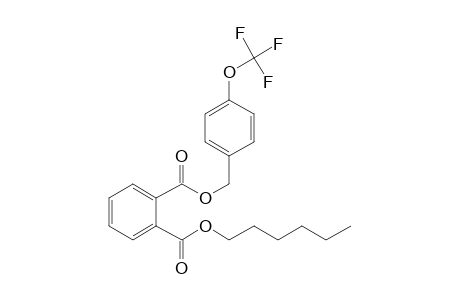 Phthalic acid, hexyl 4-trifluoromethoxybenzyl ester