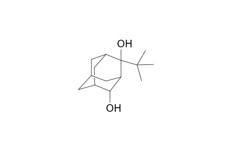 2(a)-t-butyladamantane-2(e),4(e)-diol