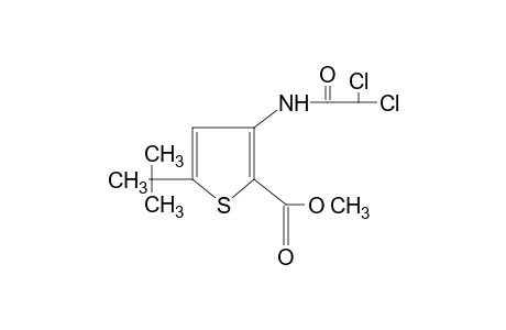 5-tert-butyl-3-(2,2-dichloroacetamido)-2-thiophenecarboxylic acid, methyl ester