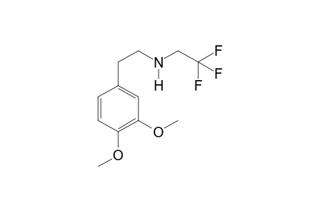 3,4-Dimethoxyphenethylamine tfa (-o,+2H)