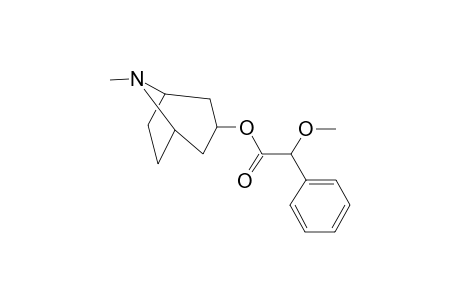 dl-Homatropine, methyl ether