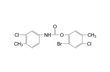 3-chloro-4-methylcarbanilic acid, 6-bromo-4-chloro-m-tolyl ester