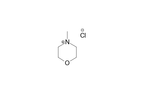 4-METHYL-MORPHOLINE-HYDROCHLORIDE