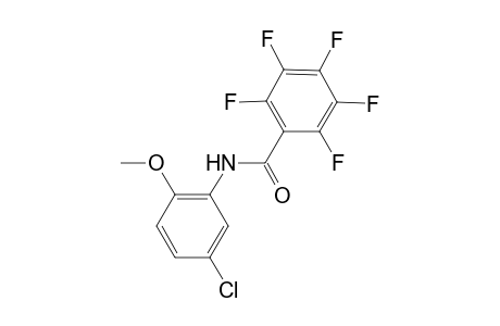 N-(5-chloro-2-methoxyphenyl)-2,3,4,5,6-pentafluorobenzamide