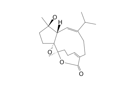 SARSOLILIDE-C