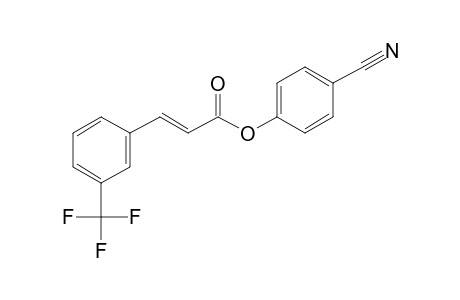 trans-3-Trifluoromethylcinnamic acid, 4-cyanophenyl ester