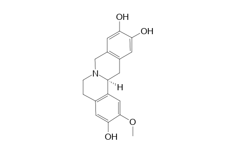 Artavenustine