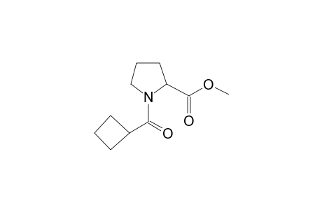 L-Proline, N-cyclobutylcarbonyl-, methyl ester