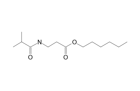 .beta.-Alanine, N-isobutyryl-, hexyl ester