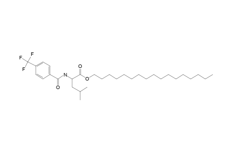 L-Leucine, N-(4-trifluoromethylbenzoyl)-, heptadecyl ester