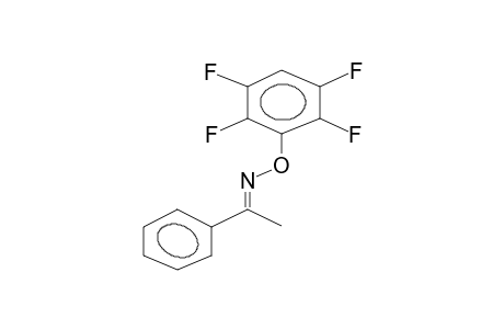 ACETOPHENONOXIME, O-2,3,5,6-TETRAFLUOROPHENYL ETHER